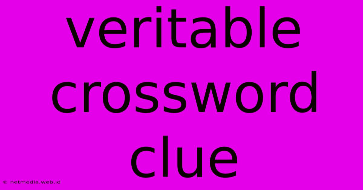 Veritable Crossword Clue