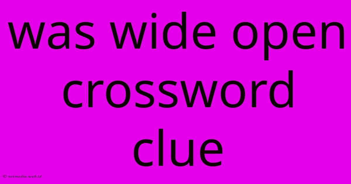 Was Wide Open Crossword Clue