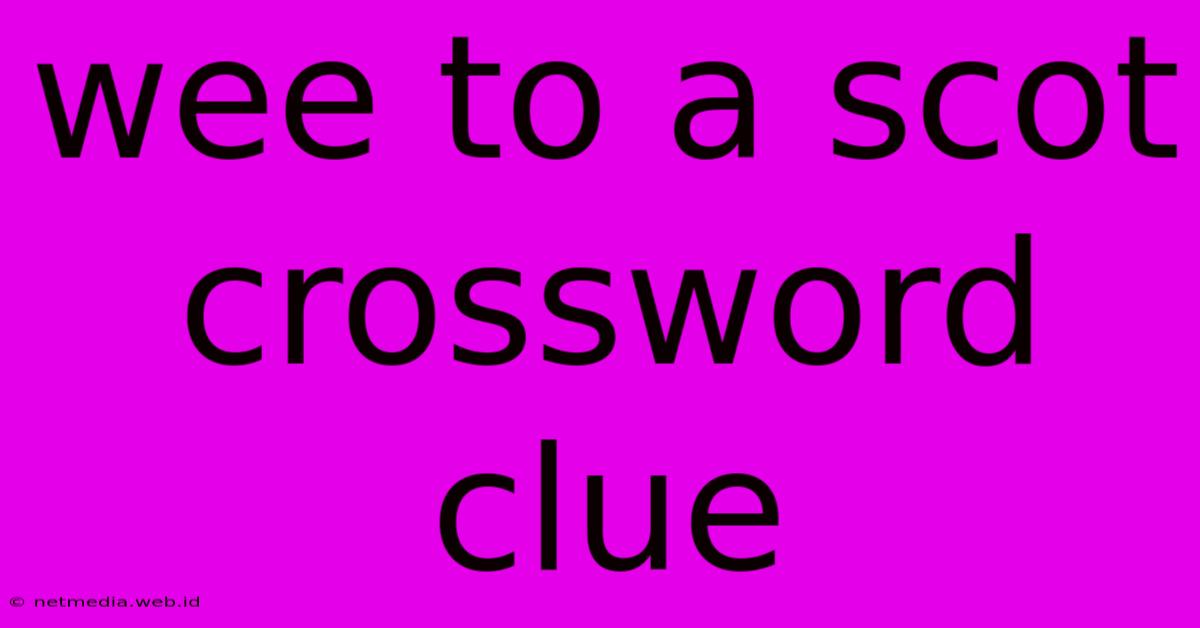 Wee To A Scot Crossword Clue