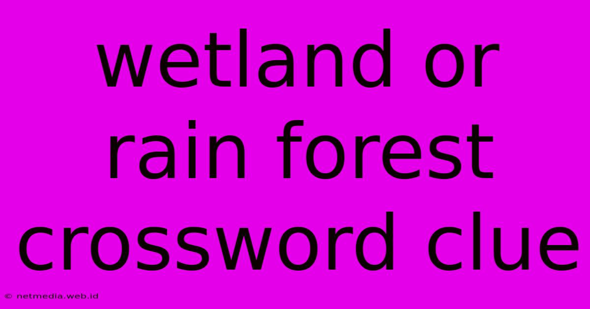 Wetland Or Rain Forest Crossword Clue