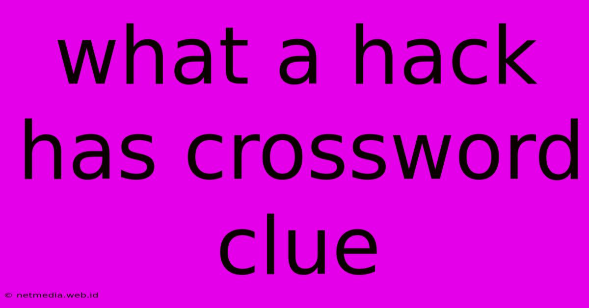 What A Hack Has Crossword Clue