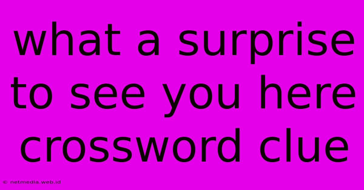 What A Surprise To See You Here Crossword Clue