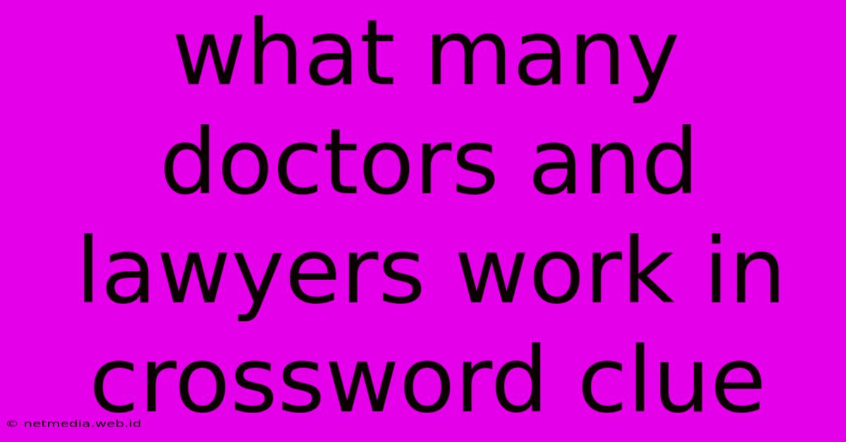 What Many Doctors And Lawyers Work In Crossword Clue