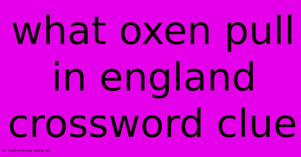 What Oxen Pull In England Crossword Clue