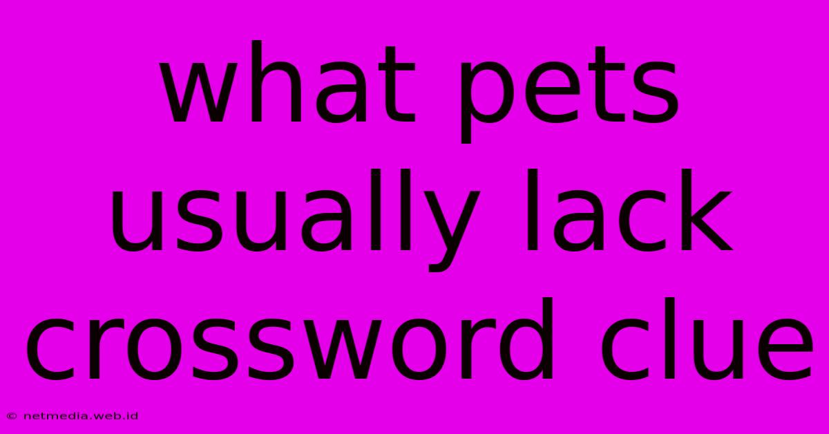 What Pets Usually Lack Crossword Clue