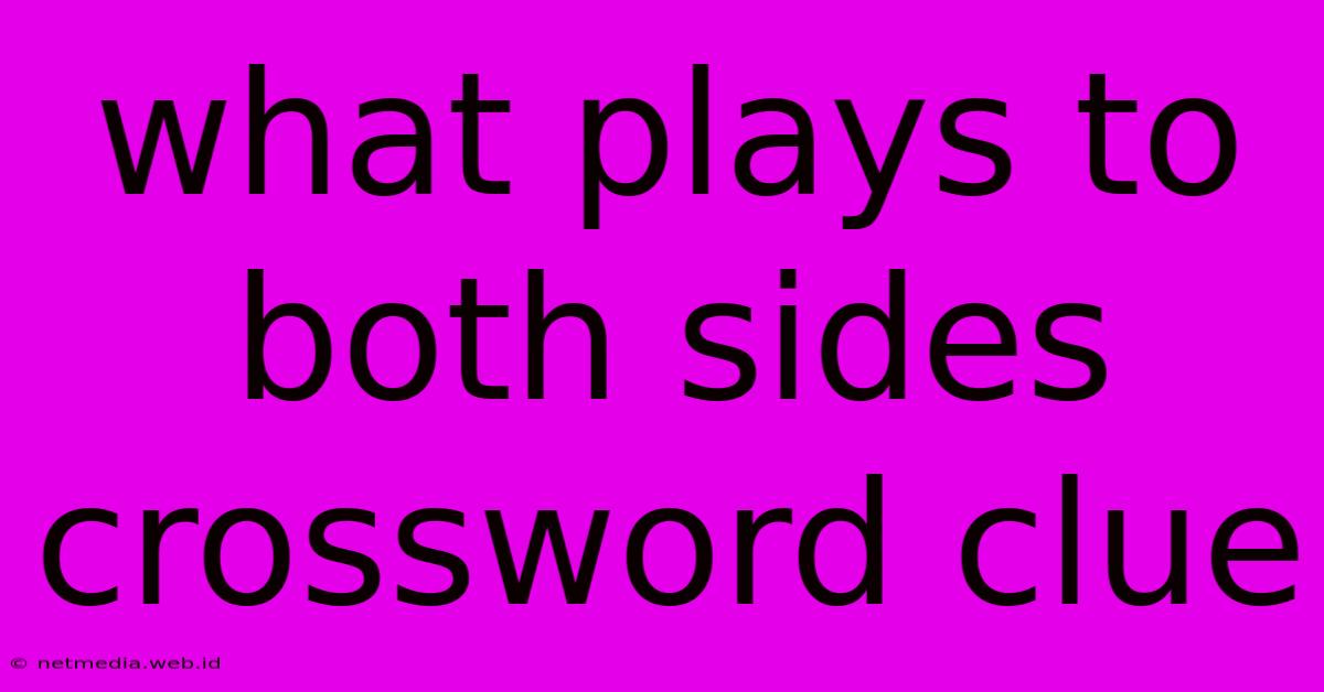 What Plays To Both Sides Crossword Clue