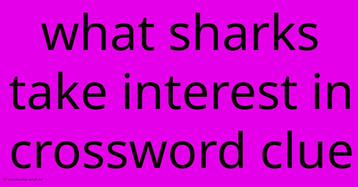 What Sharks Take Interest In Crossword Clue What Sharks Take Interest In Crossword Clue