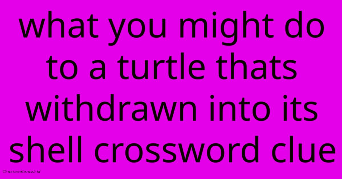 What You Might Do To A Turtle Thats Withdrawn Into Its Shell Crossword Clue