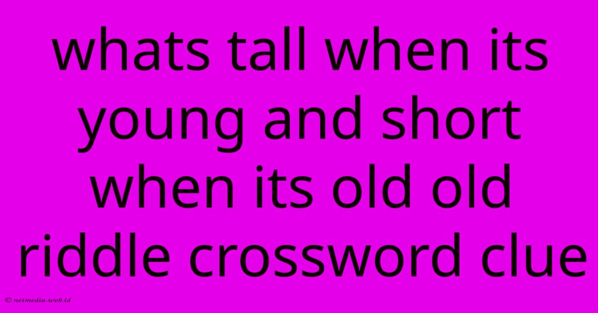 Whats Tall When Its Young And Short When Its Old Old Riddle Crossword Clue Whats Tall When Its Young And Short When Its Old Old Riddle Crossword Clue