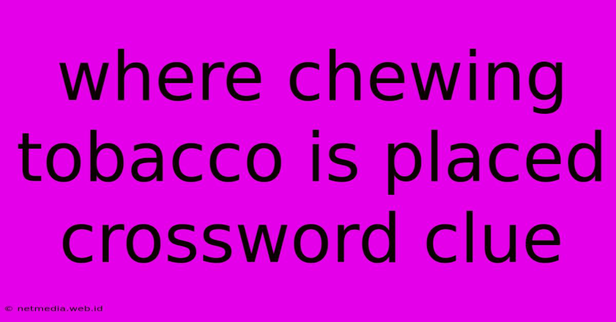 Where Chewing Tobacco Is Placed Crossword Clue