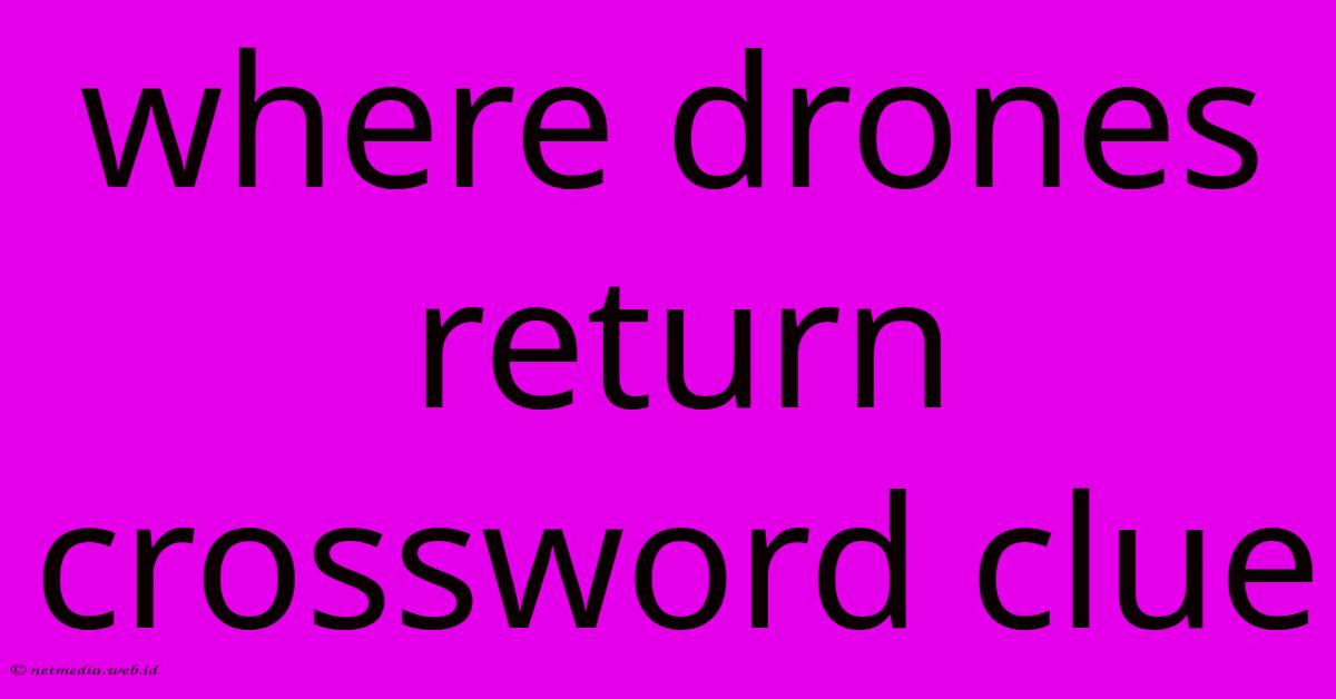 Where Drones Return Crossword Clue Where Drones Return Crossword Clue