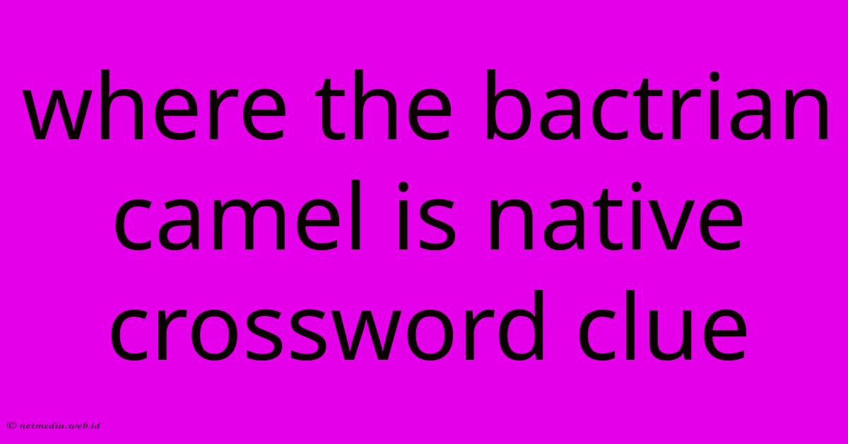 Where The Bactrian Camel Is Native Crossword Clue Where The Bactrian Camel Is Native Crossword Clue