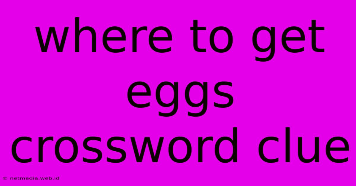 Where To Get Eggs Crossword Clue