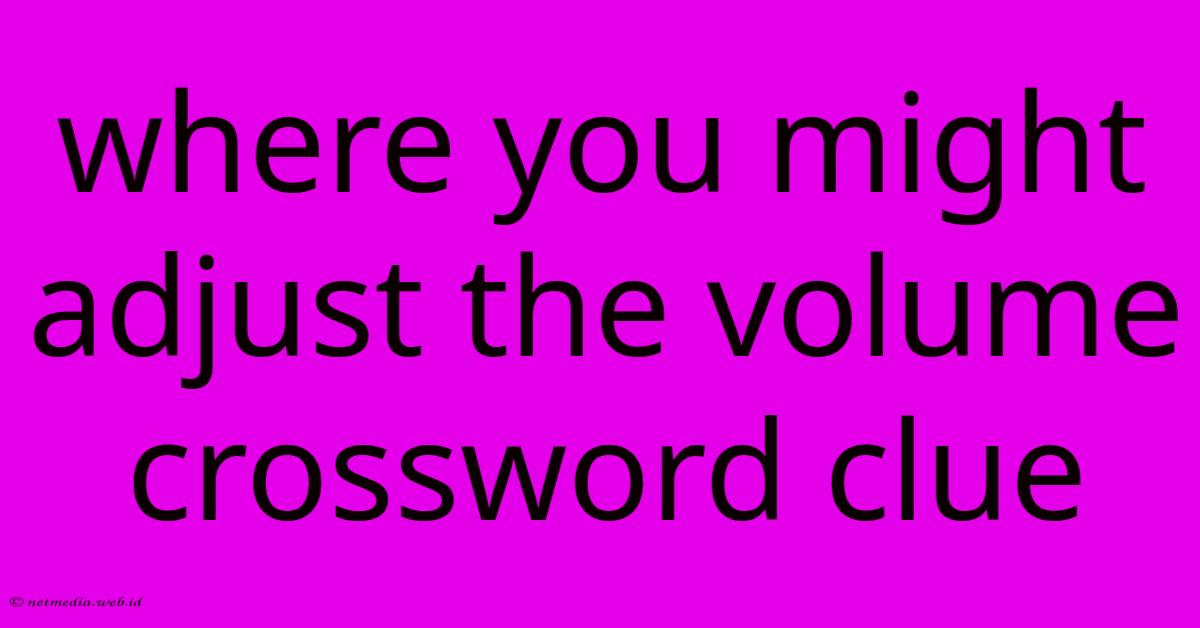 Where You Might Adjust The Volume Crossword Clue Where You Might Adjust The Volume Crossword Clue