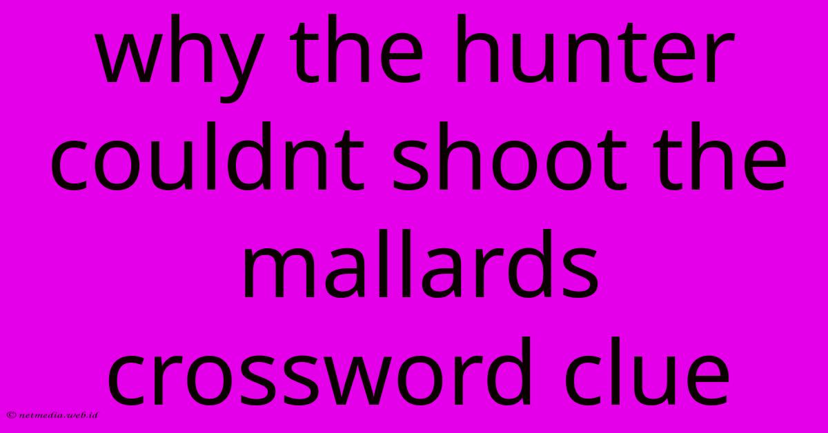 Why The Hunter Couldnt Shoot The Mallards Crossword Clue