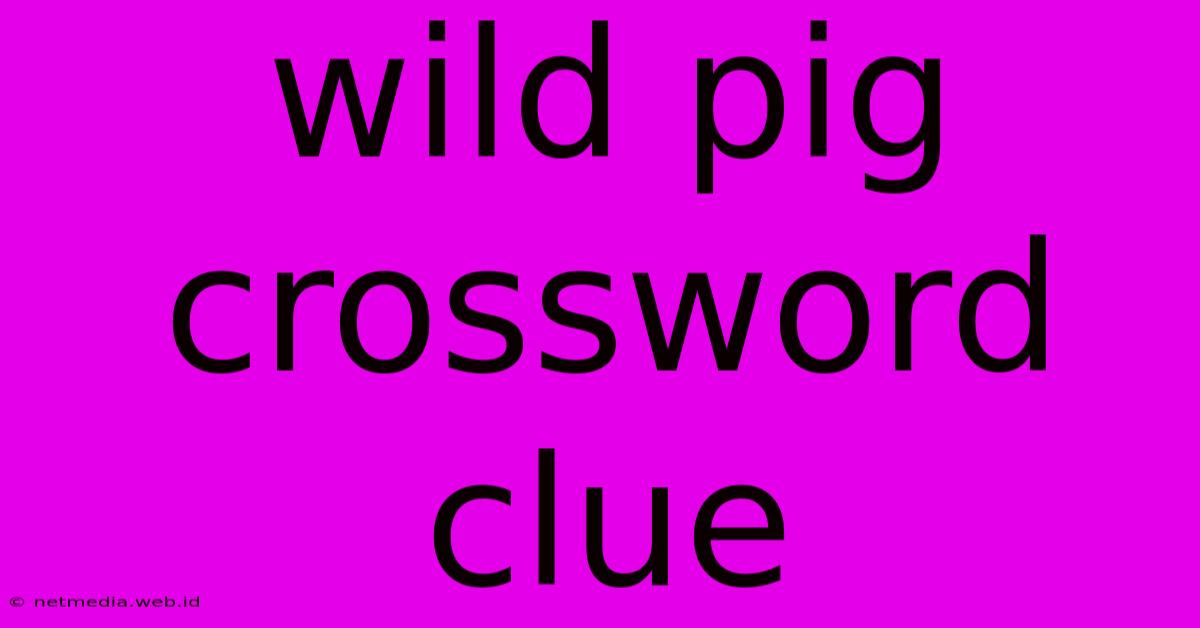 Wild Pig Crossword Clue