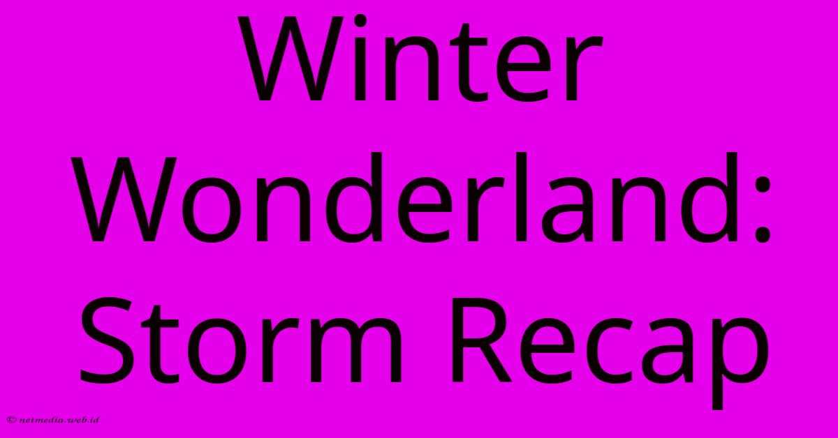 Winter Wonderland: Storm Recap