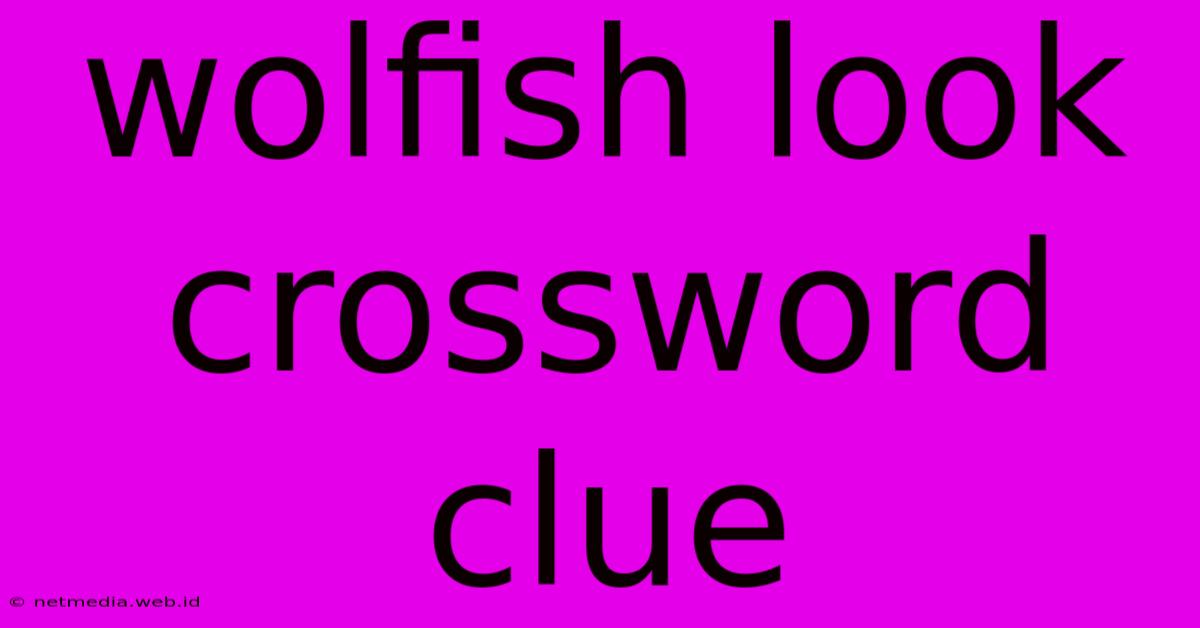 Wolfish Look Crossword Clue