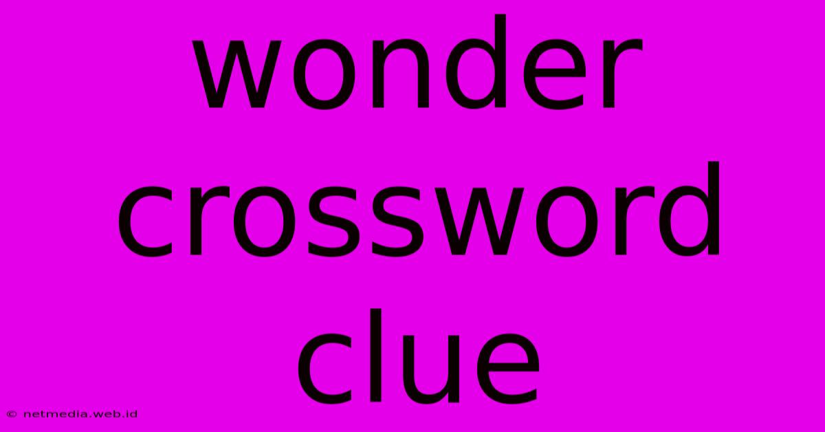 Wonder Crossword Clue