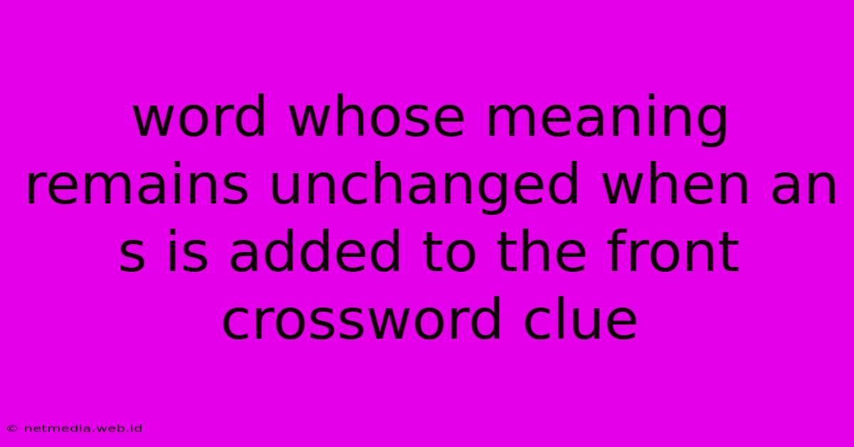 Word Whose Meaning Remains Unchanged When An S Is Added To The Front Crossword Clue