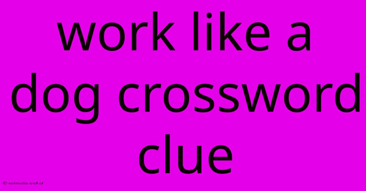Work Like A Dog Crossword Clue Work Like A Dog Crossword Clue