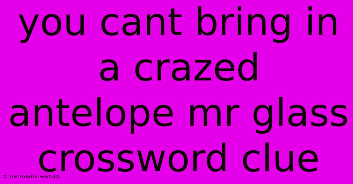 You Cant Bring In A Crazed Antelope Mr Glass Crossword Clue