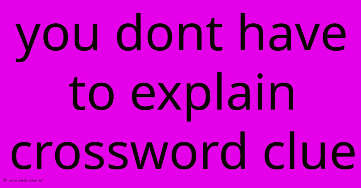 You Dont Have To Explain Crossword Clue