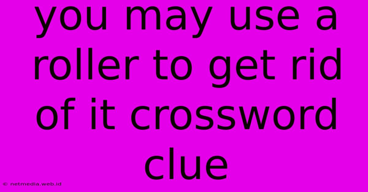 You May Use A Roller To Get Rid Of It Crossword Clue