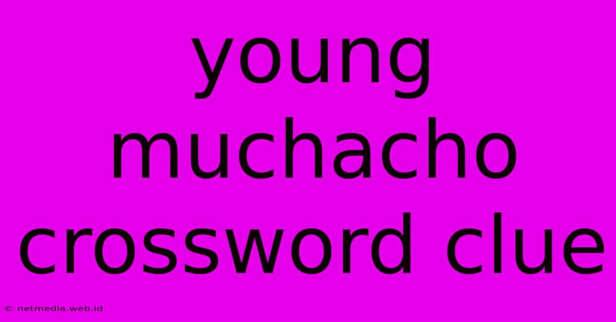 Young Muchacho Crossword Clue