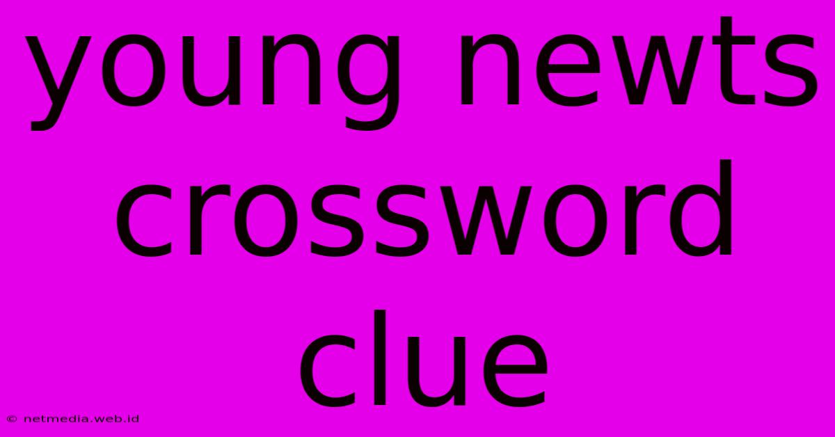 Young Newts Crossword Clue