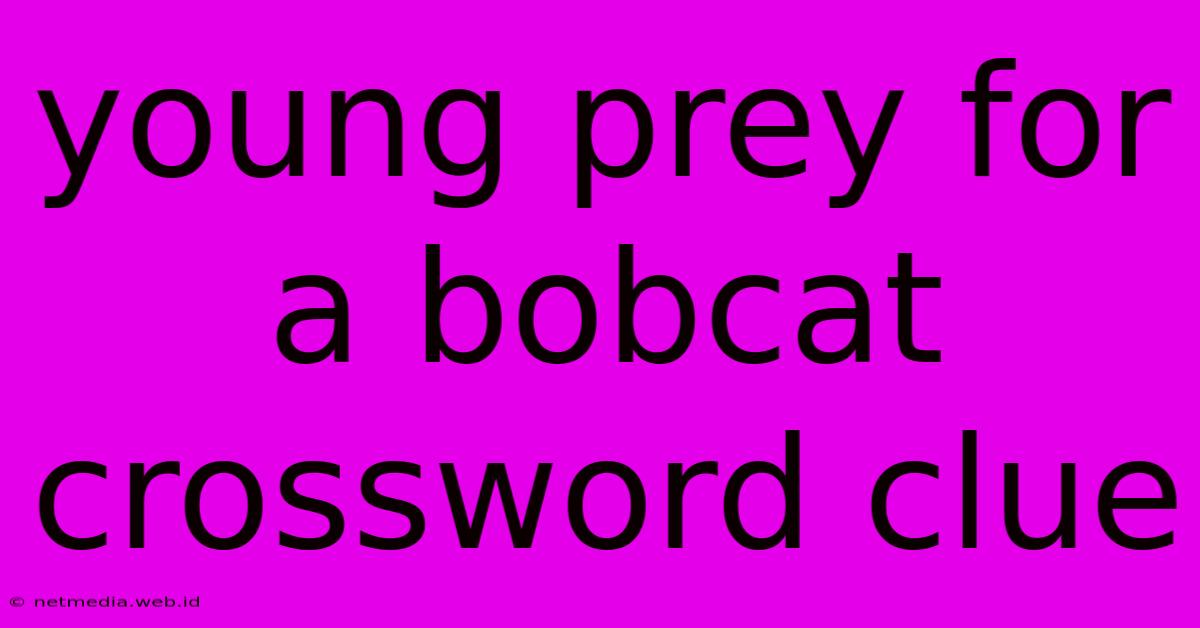 Young Prey For A Bobcat Crossword Clue