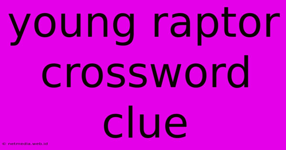 Young Raptor Crossword Clue