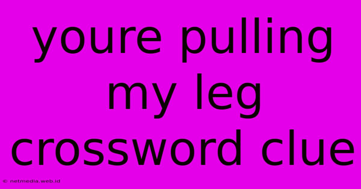 Youre Pulling My Leg Crossword Clue