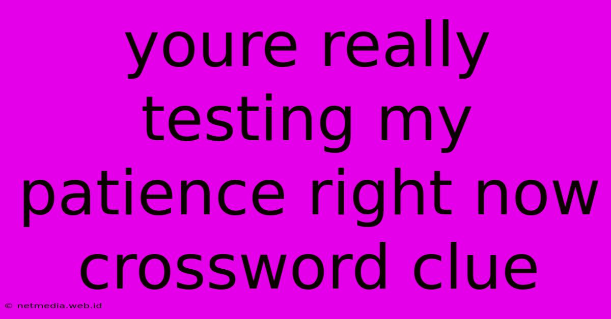 Youre Really Testing My Patience Right Now Crossword Clue